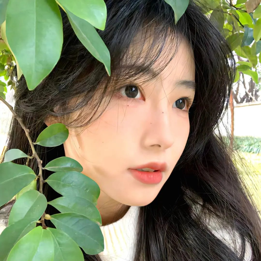 创世雄心